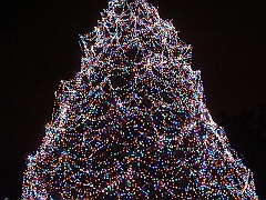 072 Toledo Zoo Light Show [2008 Dec 27]